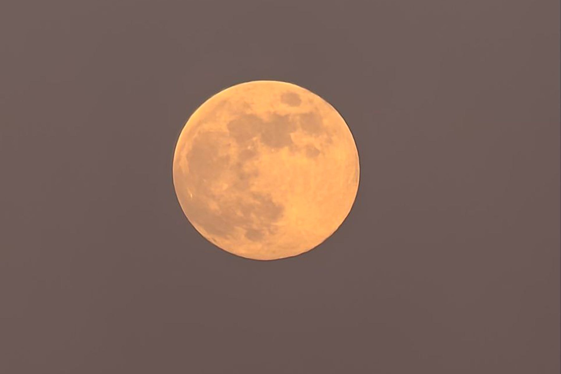 Снежная Луна