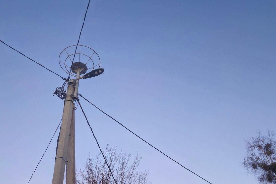 Платформа для аистов