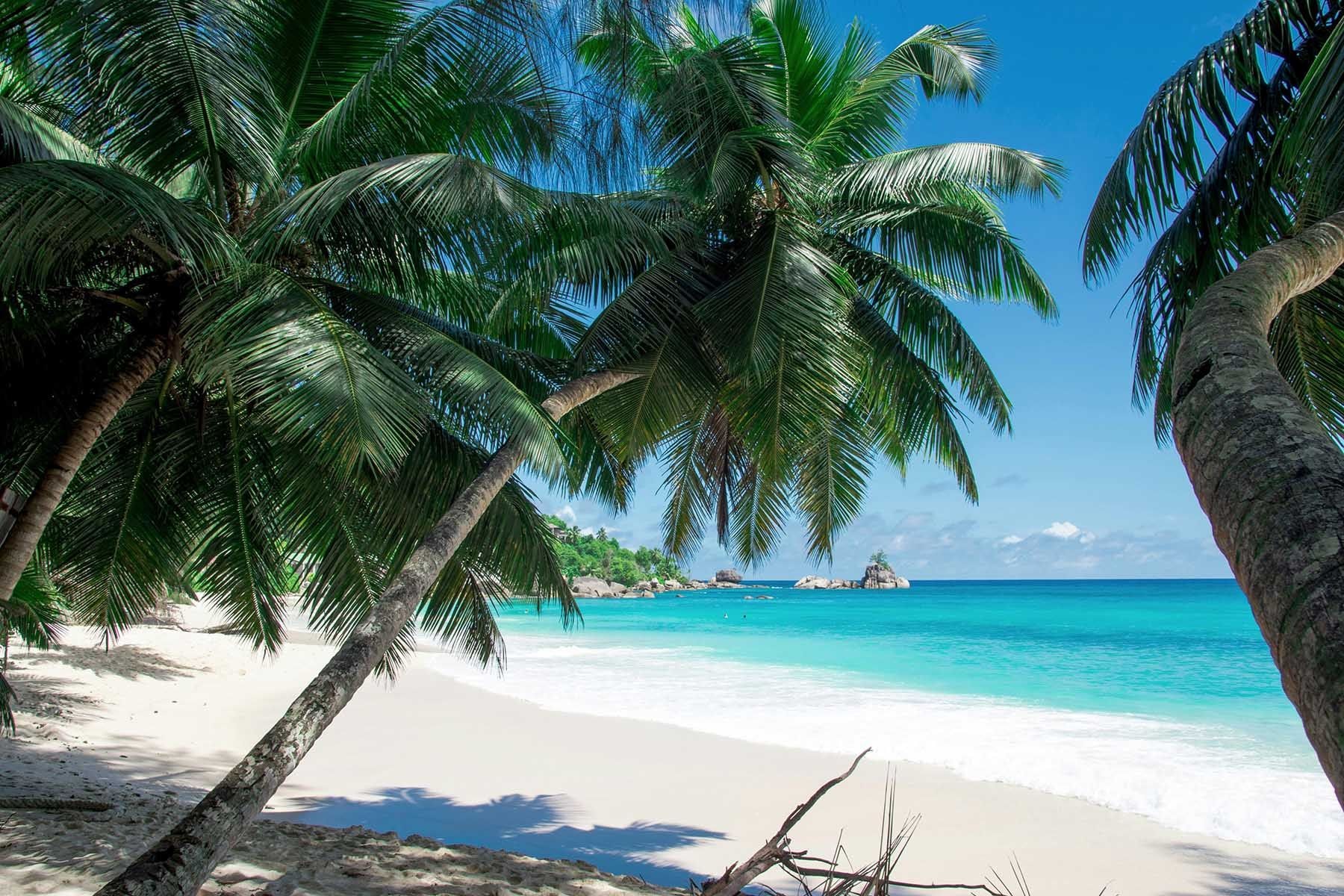 Пальмы на пляже