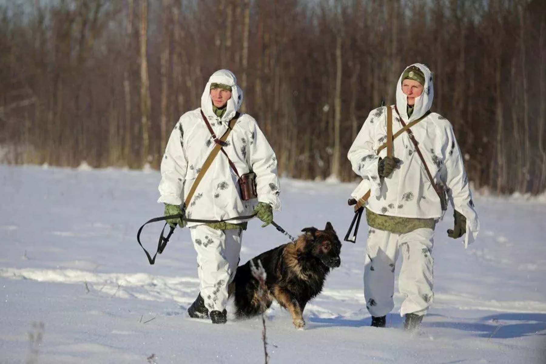 пограничники граница 