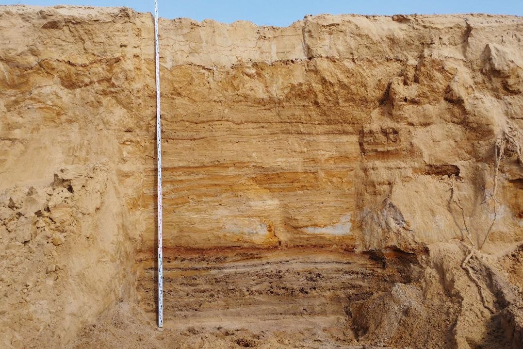 Участок с культуросодержащим слоем. © Александр Вашанов