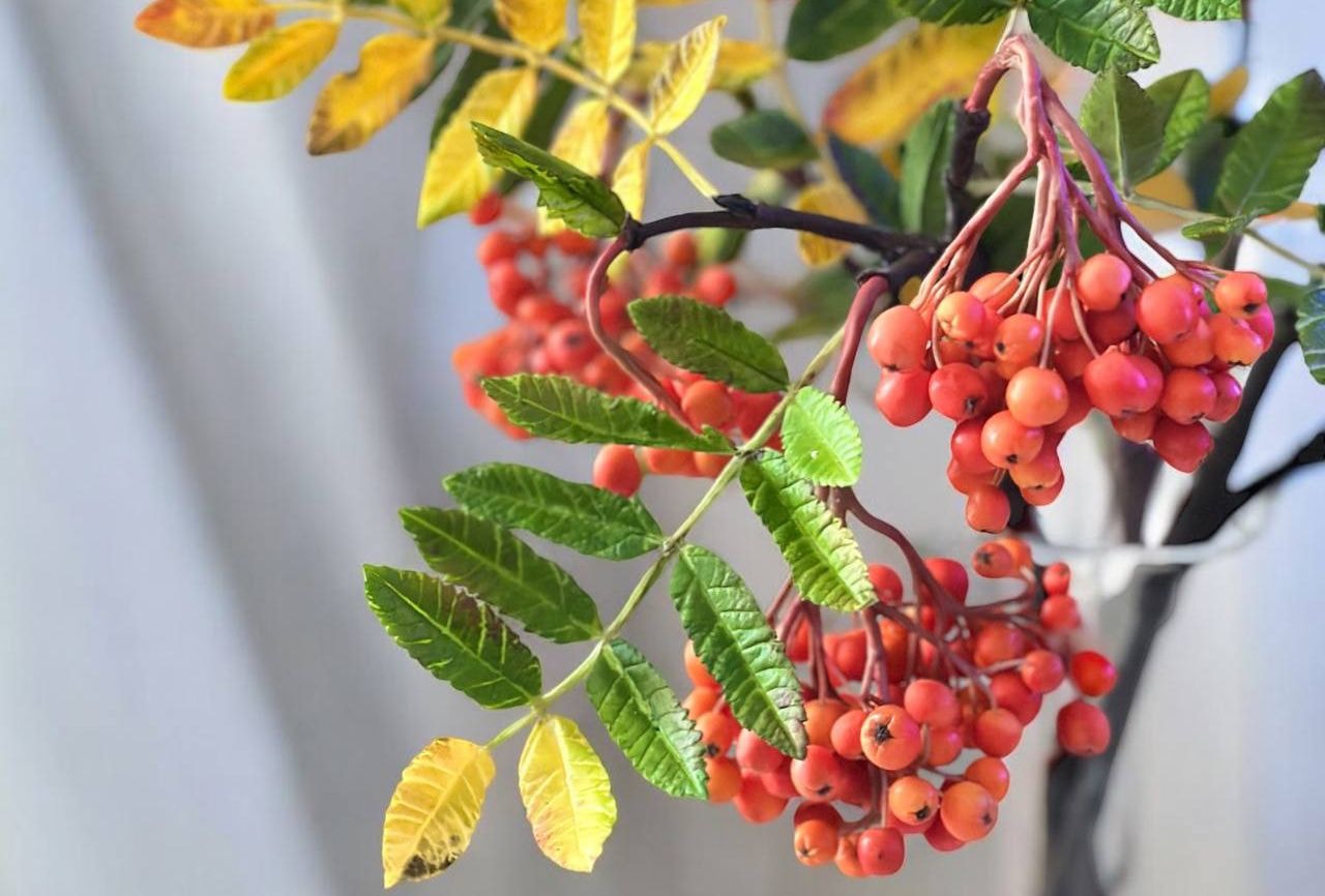 Юлия Каток для Times.by