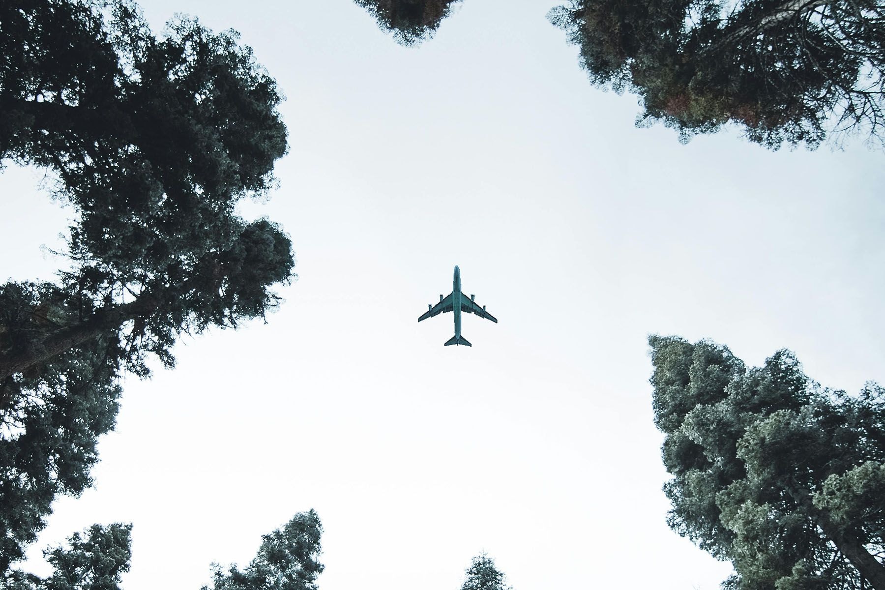 © Sam Willis, Pexels.com