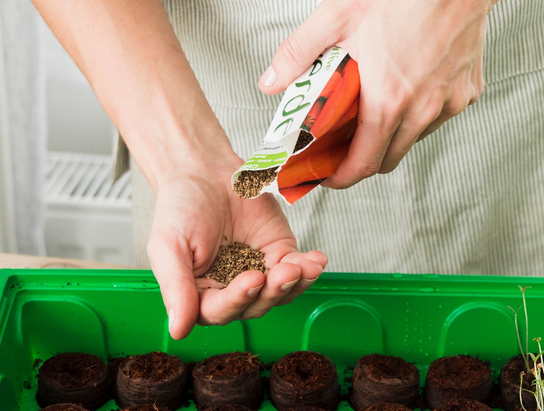 Выбираем семена для посадки. © Freepik.com