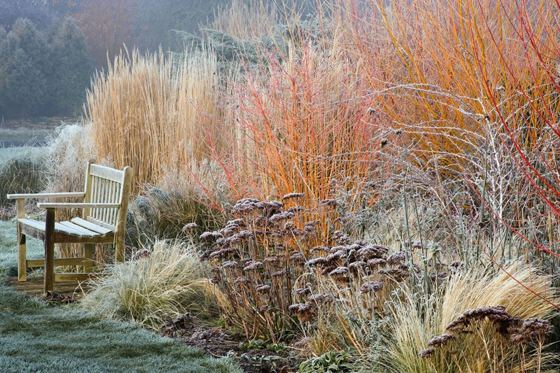 Зимний сад. © Piet Oudolf