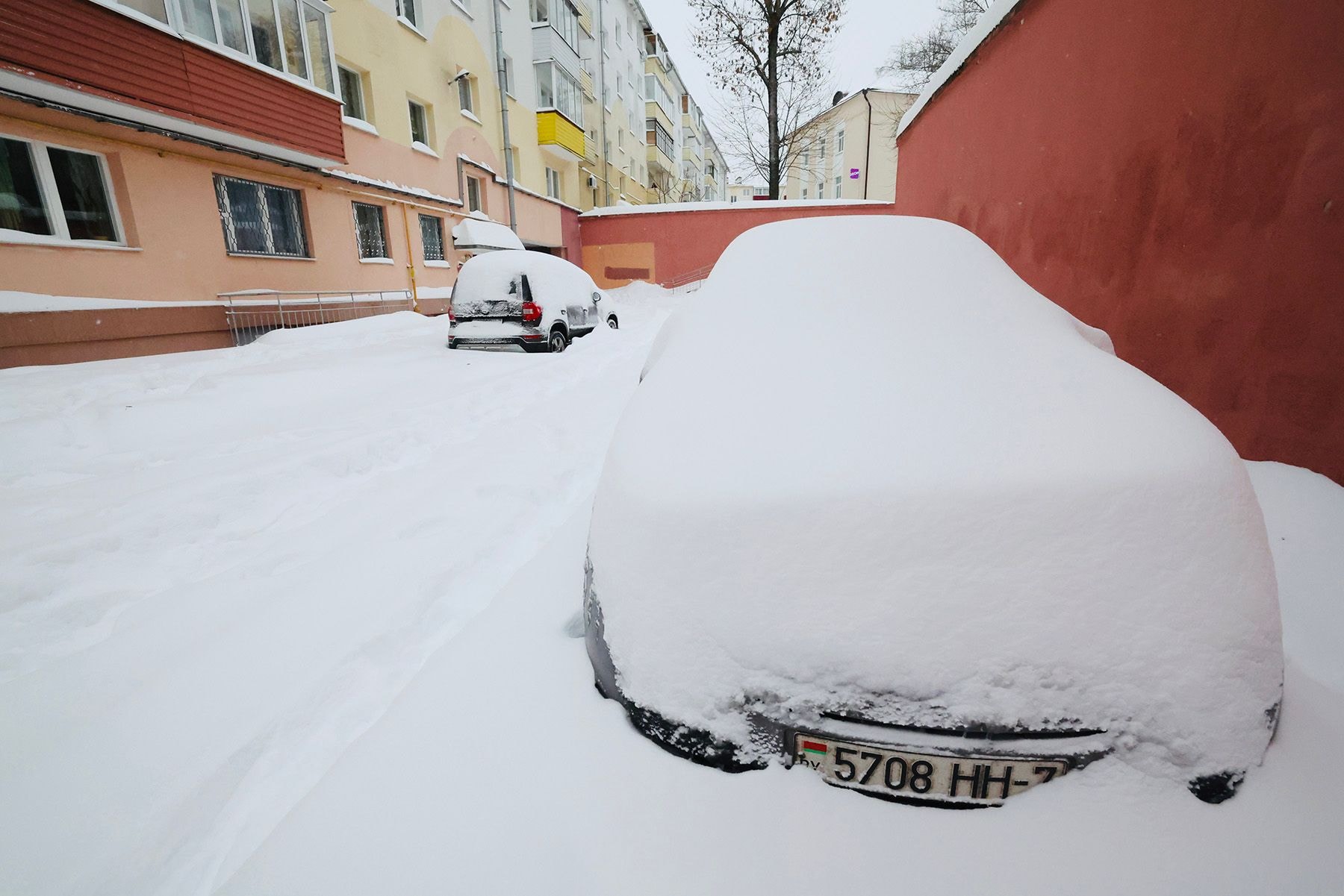 © Мария Амелина, Times.by