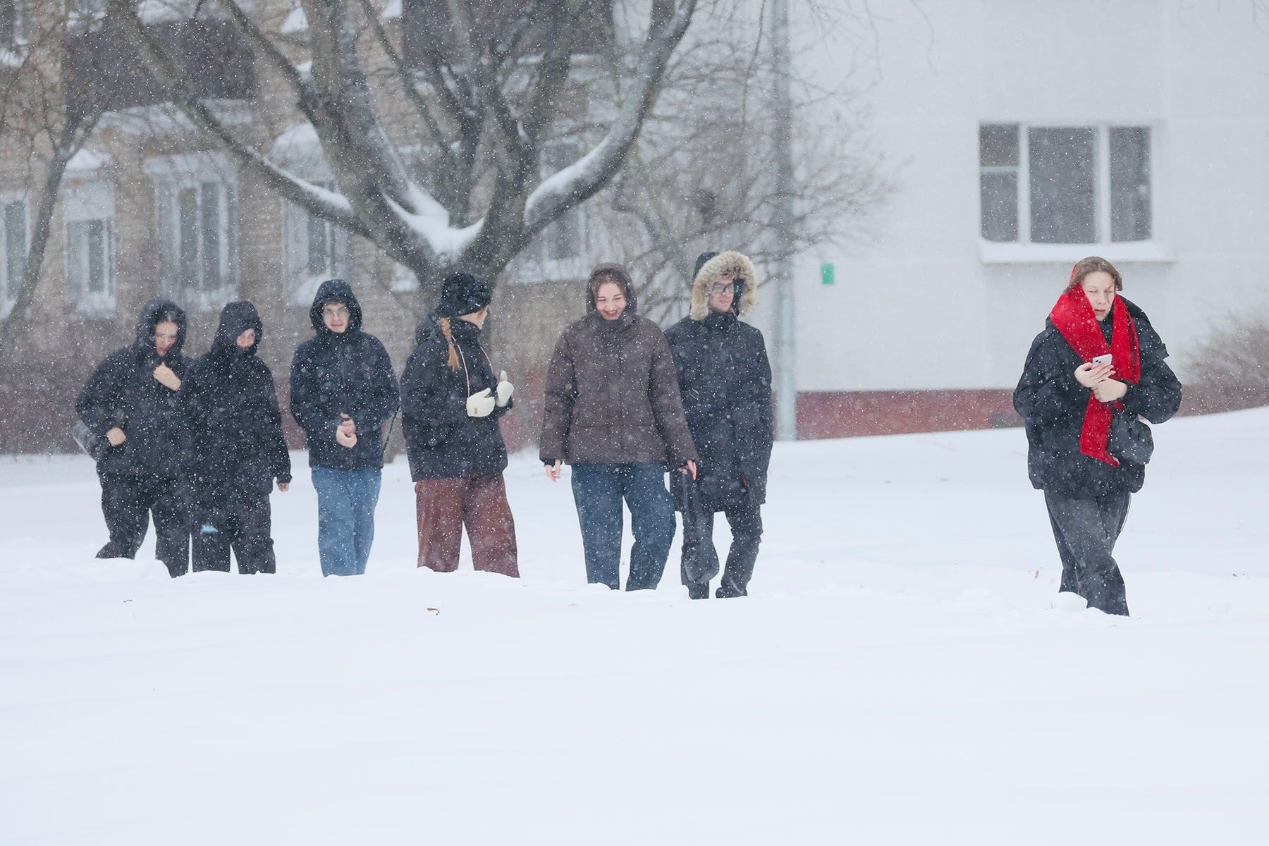 © Мария Амелина, Times.by