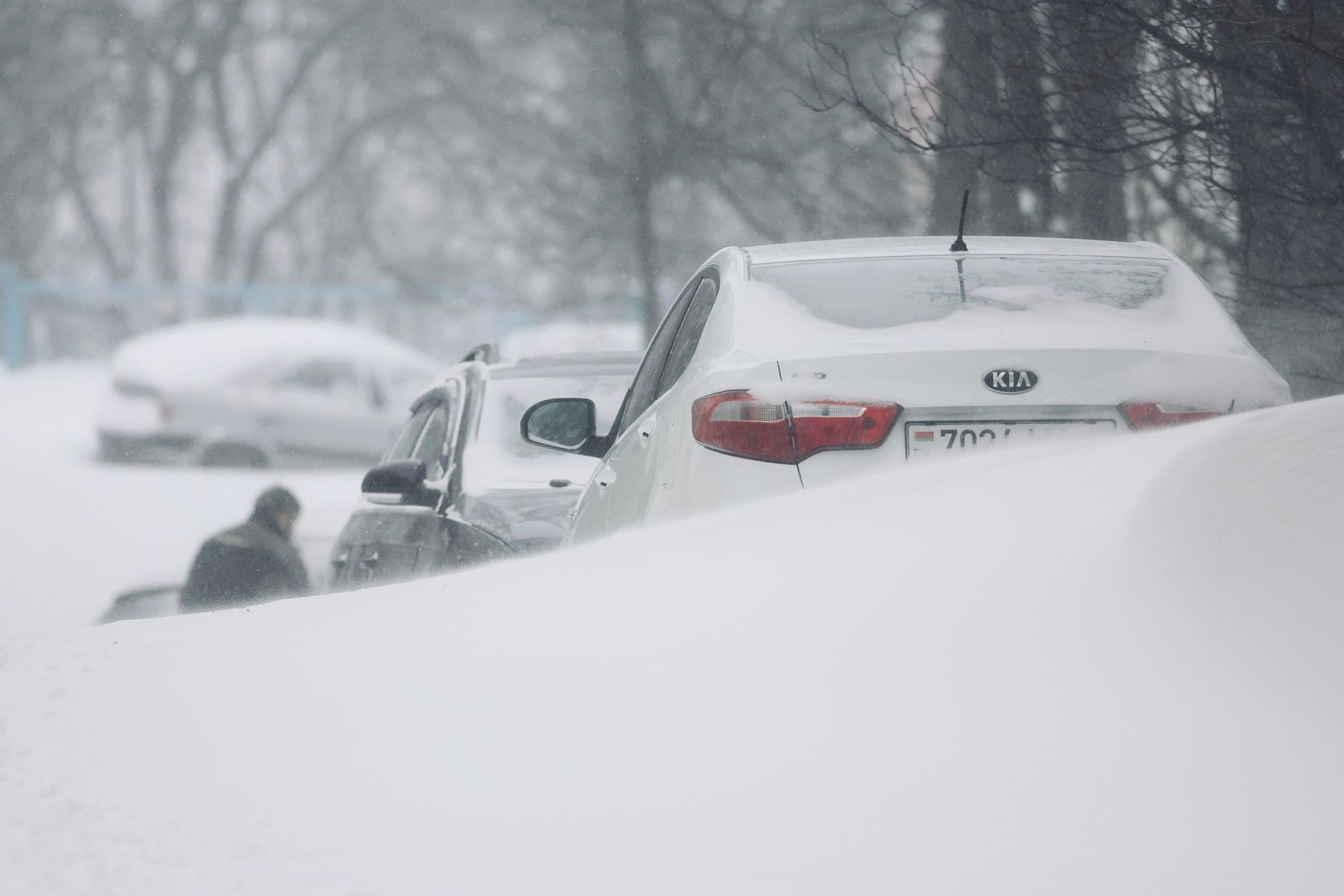 © Мария Амелина, Times.by