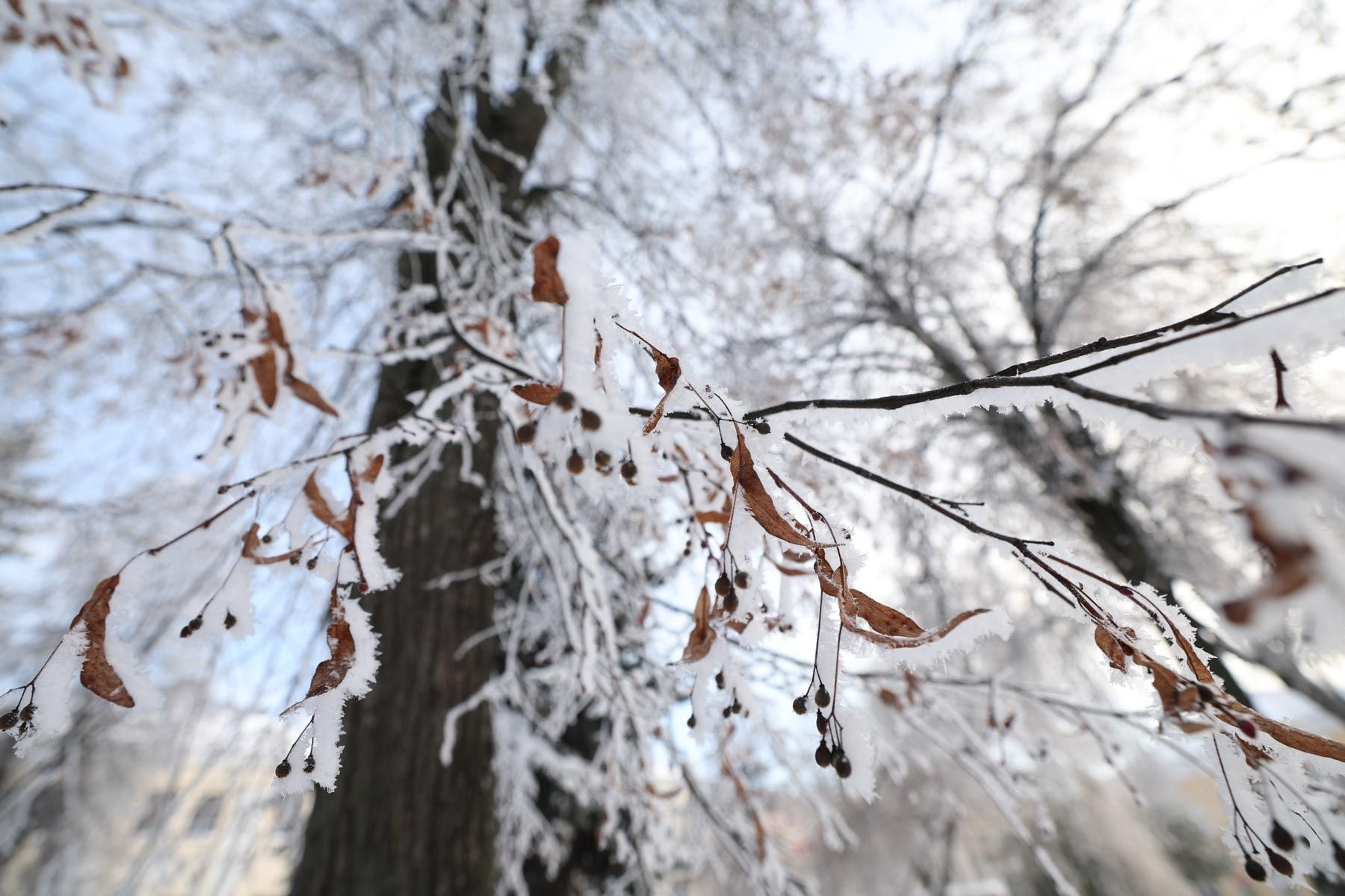 © Павел Орловский, Times.by