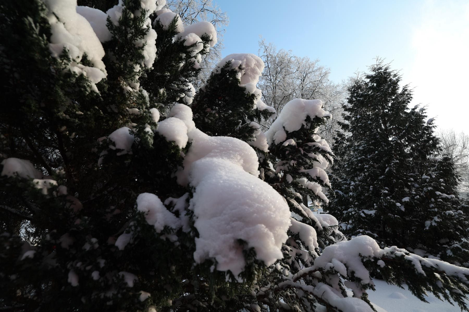 © Павел Орловский, Times.by