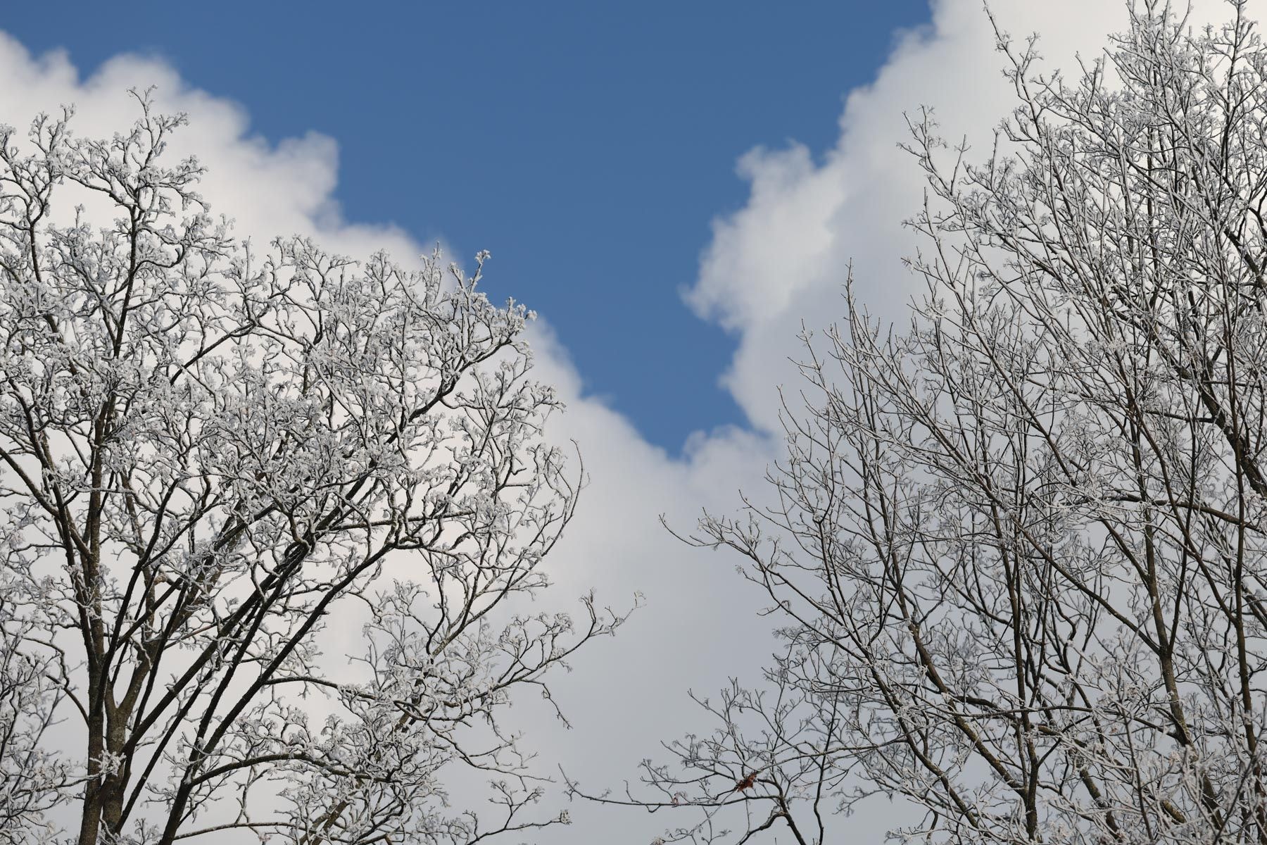 © Павел Орловский, Times.by