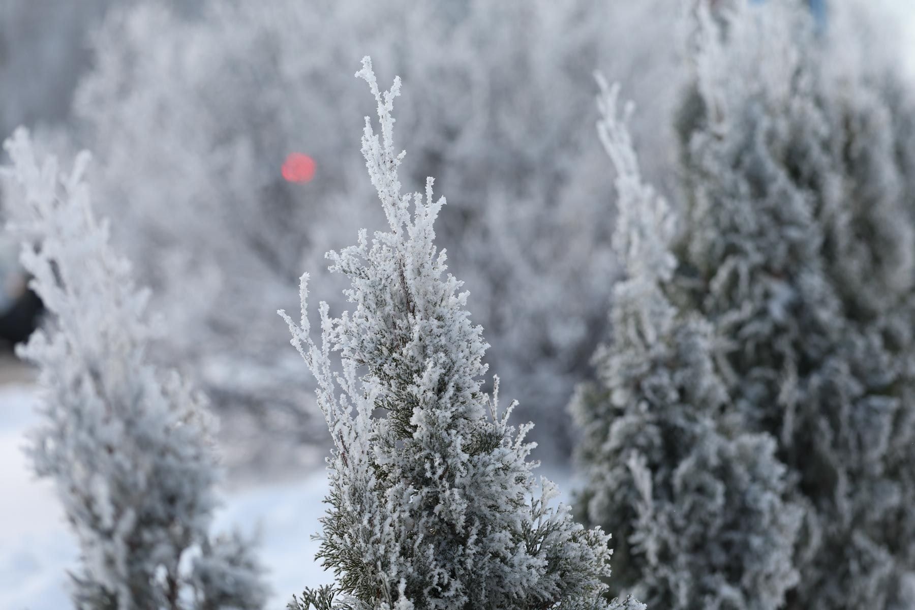 © Павел Орловский, Times.by