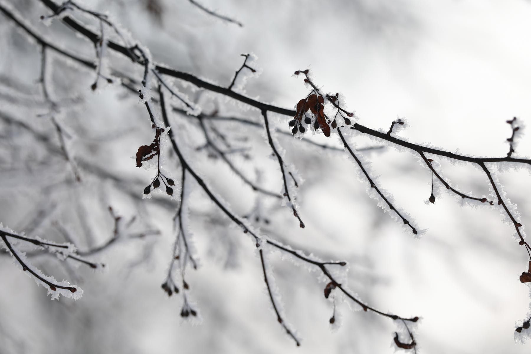 © Павел Орловский, Times.by