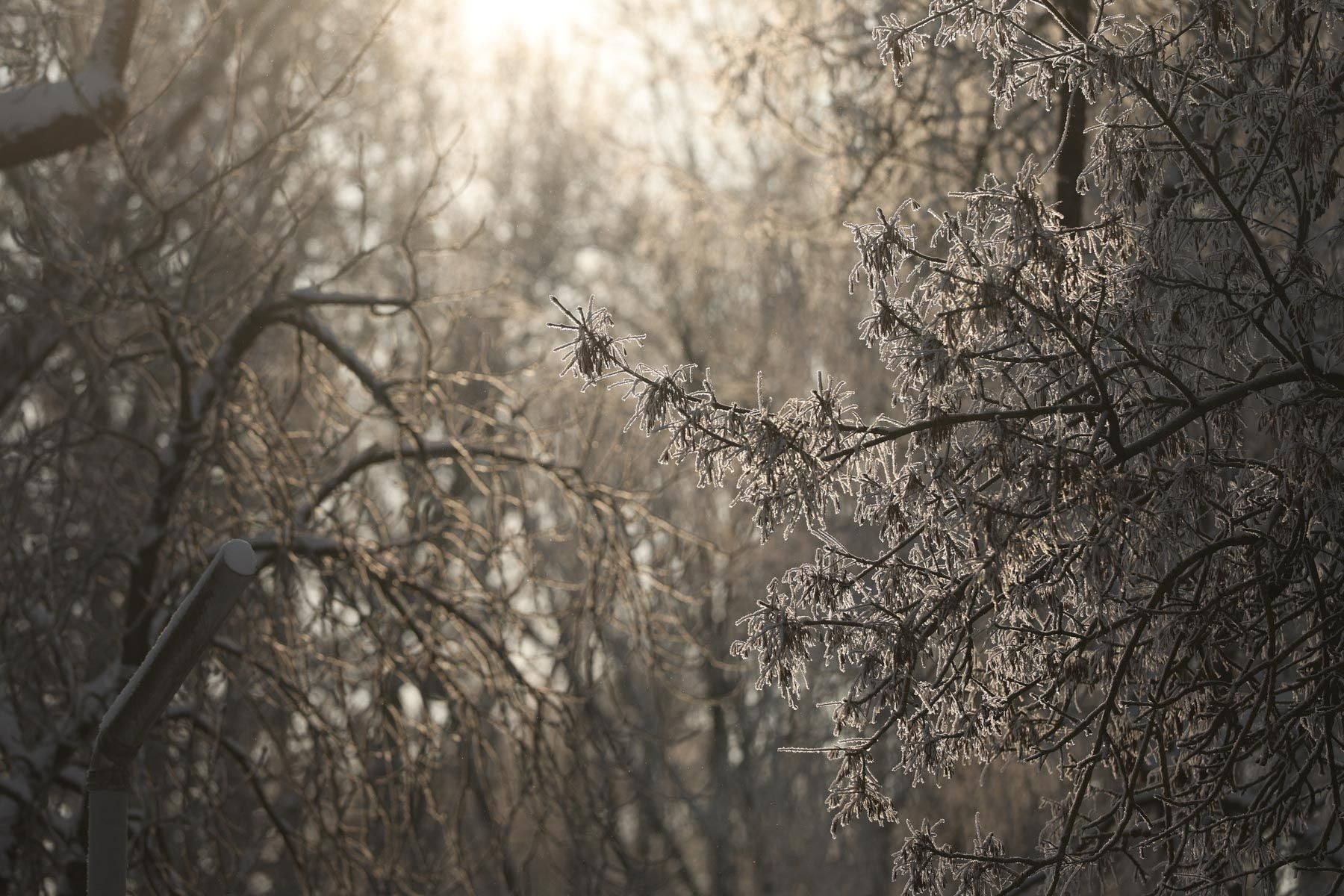 © Павел Орловский, Times.by