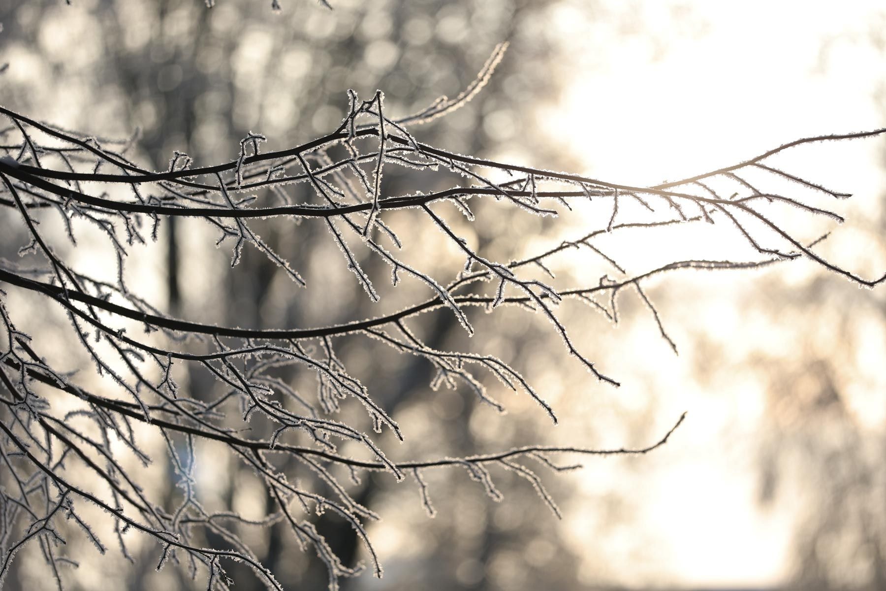 © Павел Орловский, Times.by