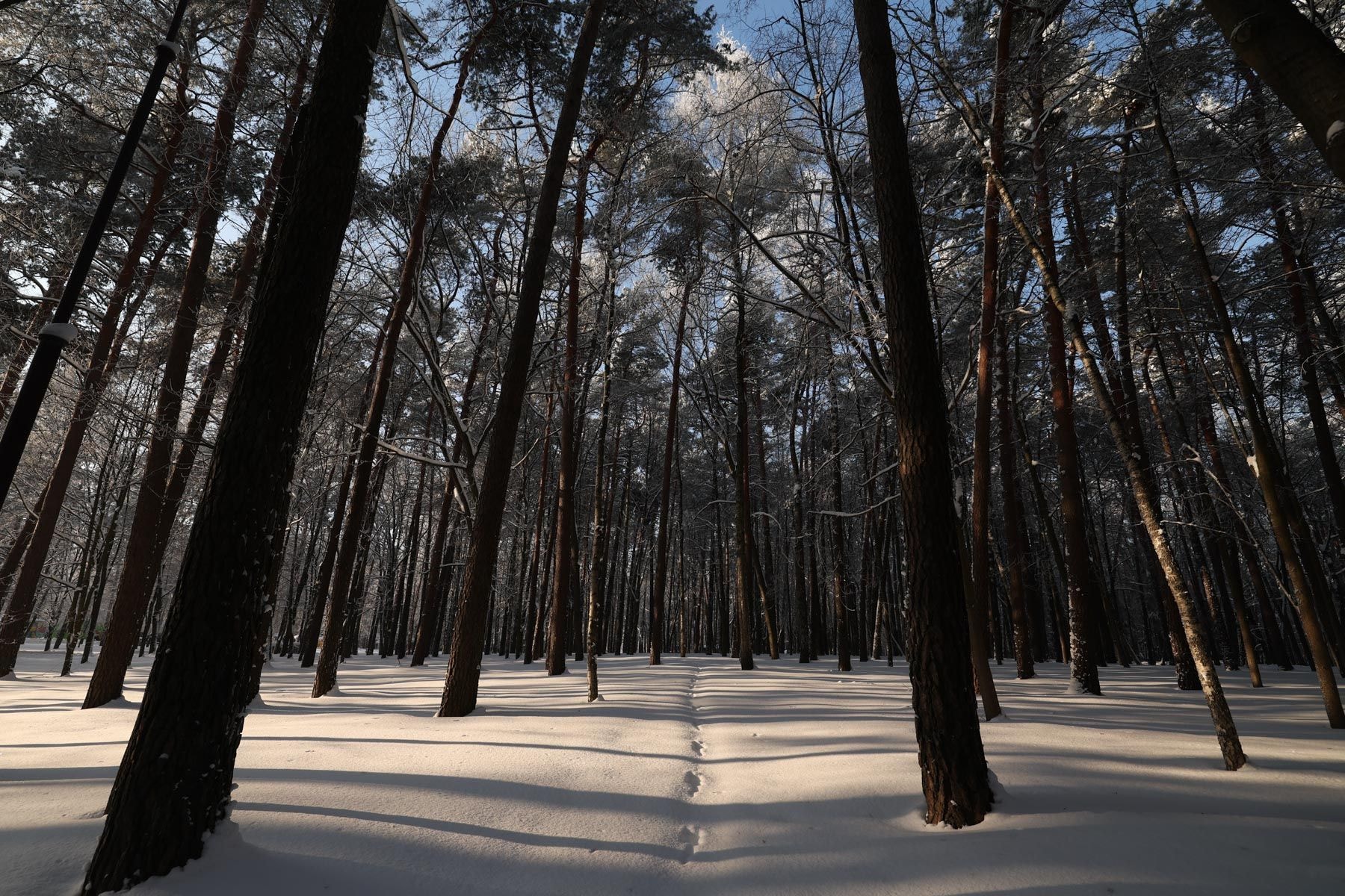 © Павел Орловский, Times.by