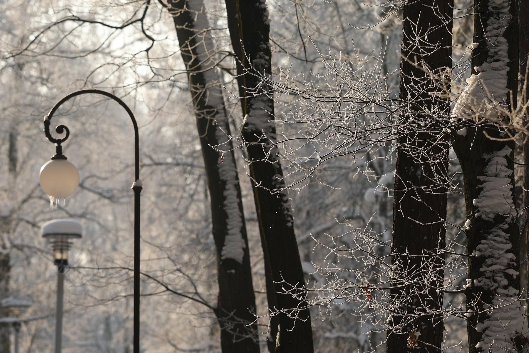 © Павел Орловский, Times.by