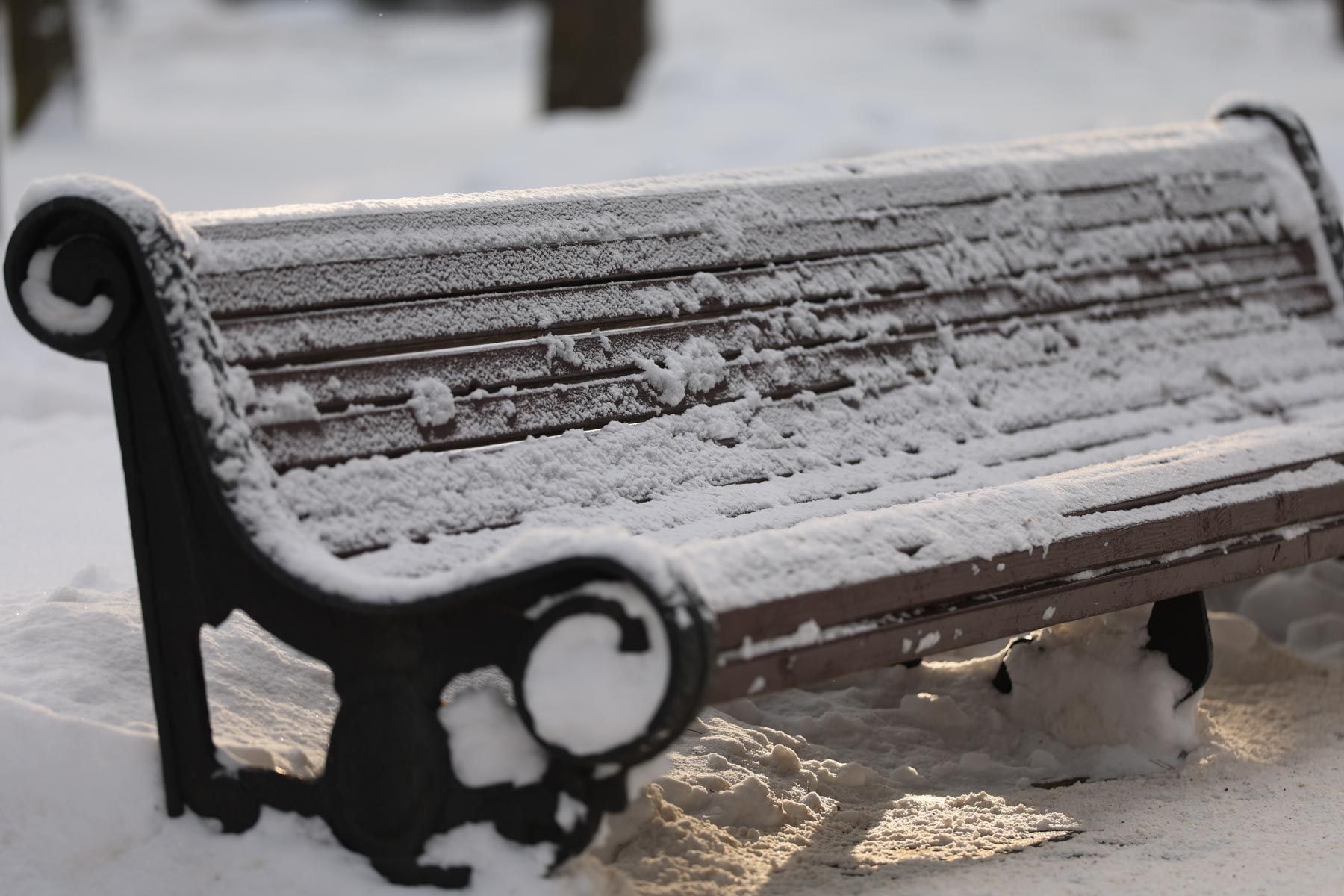 © Павел Орловский, Times.by