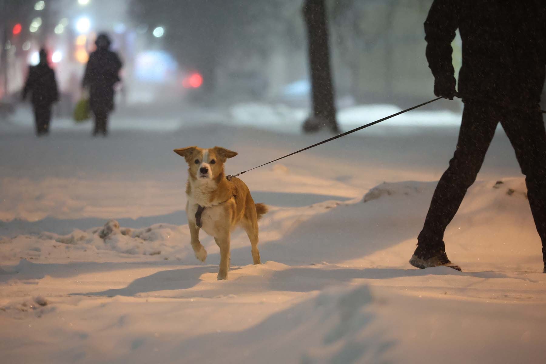 © Павел Орловский, Times.by