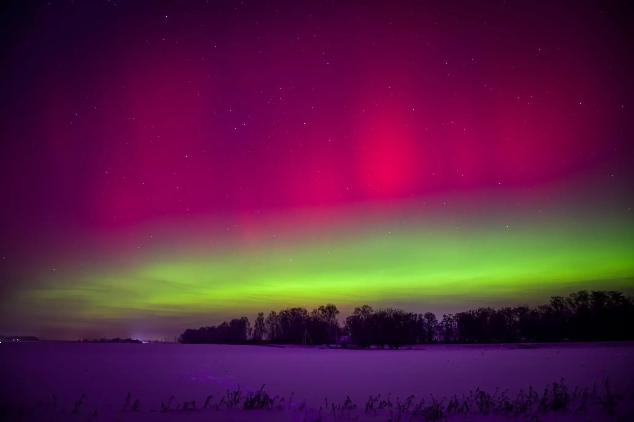 © natali.st.den, Threads