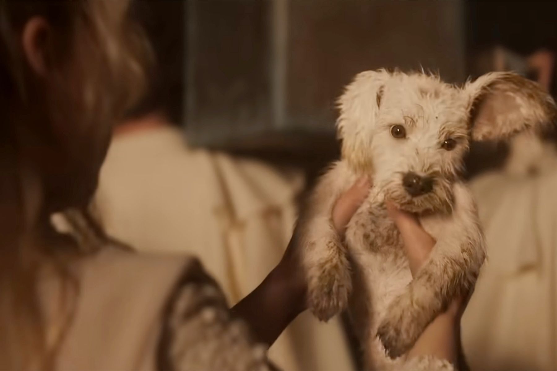 ©  DC and Warner Bros., YouTube