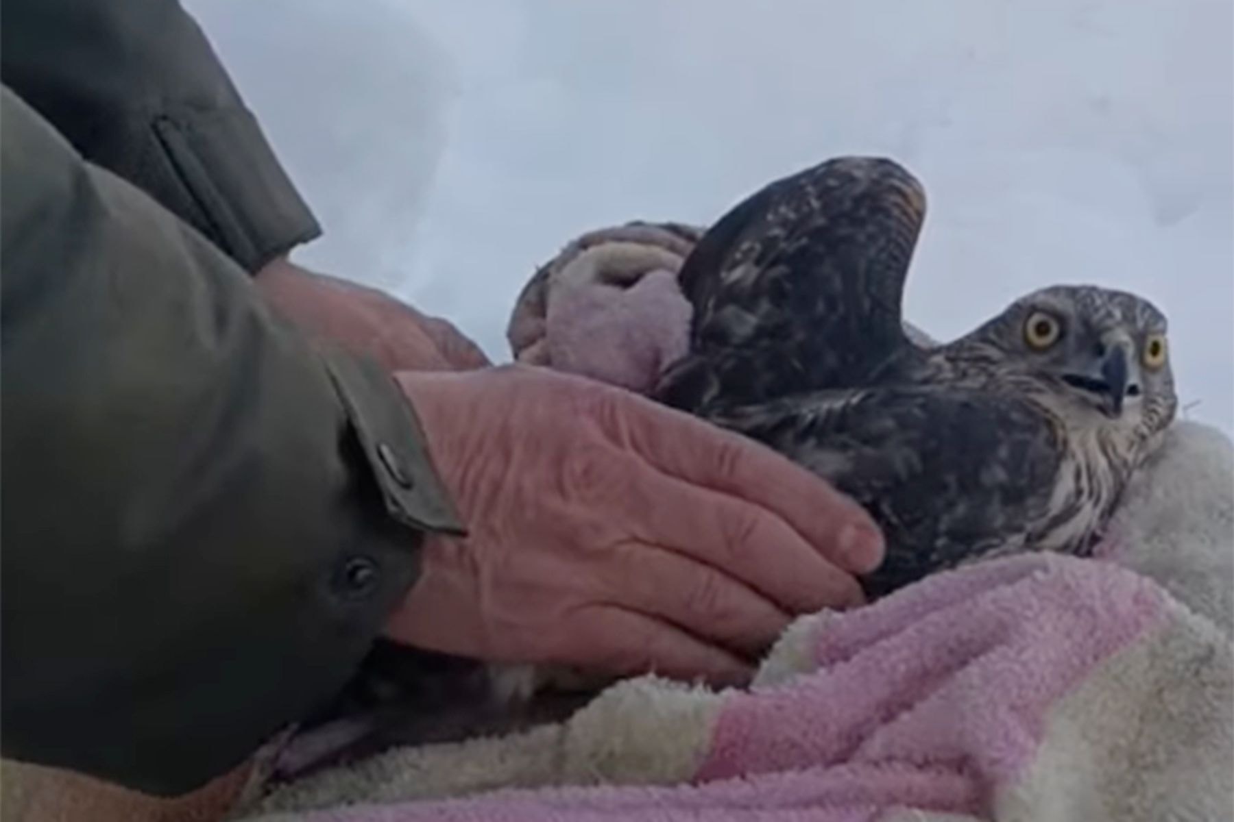 © MrBobrby, YouTube