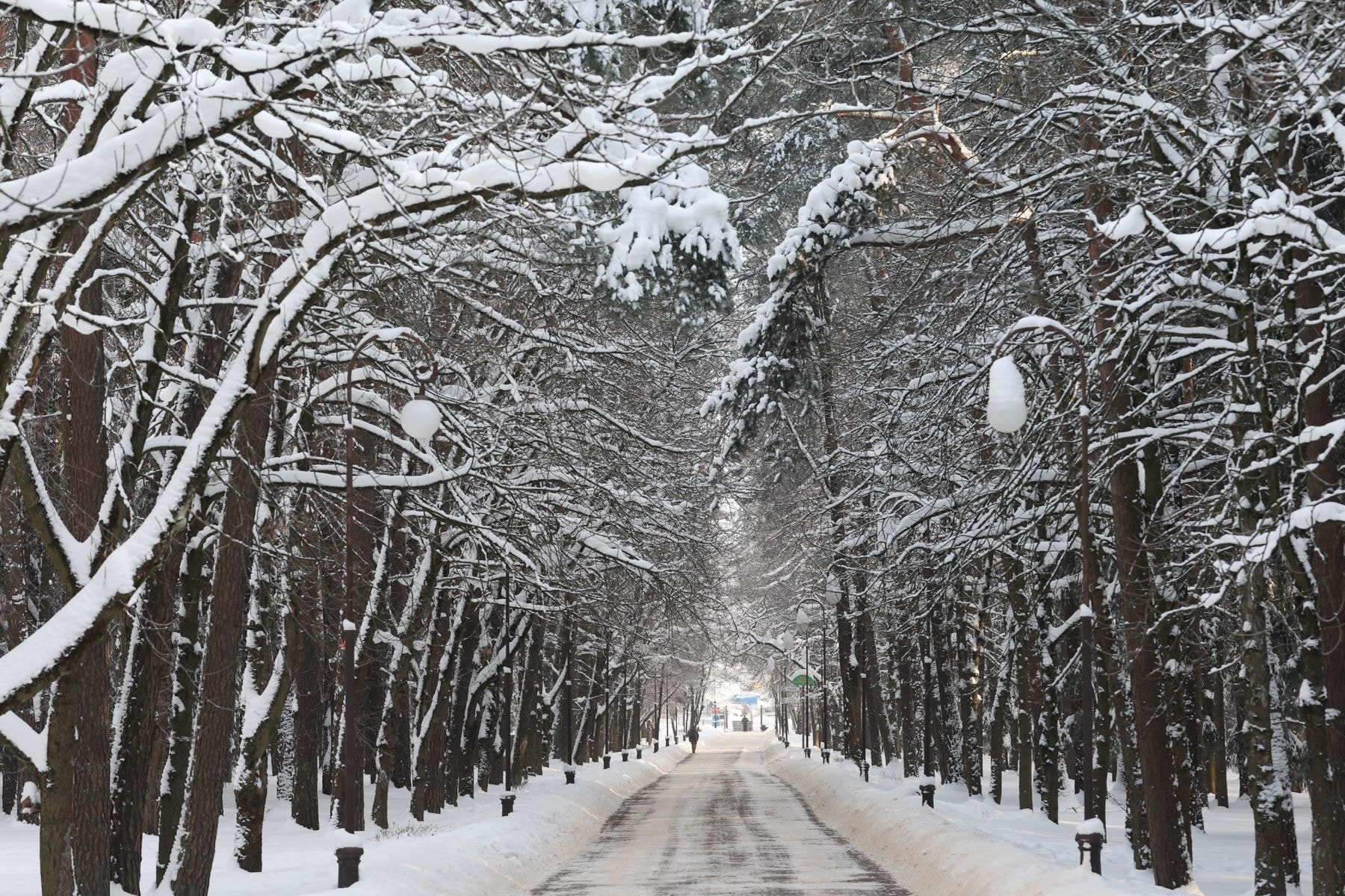 © Павел Орловский, Times.by