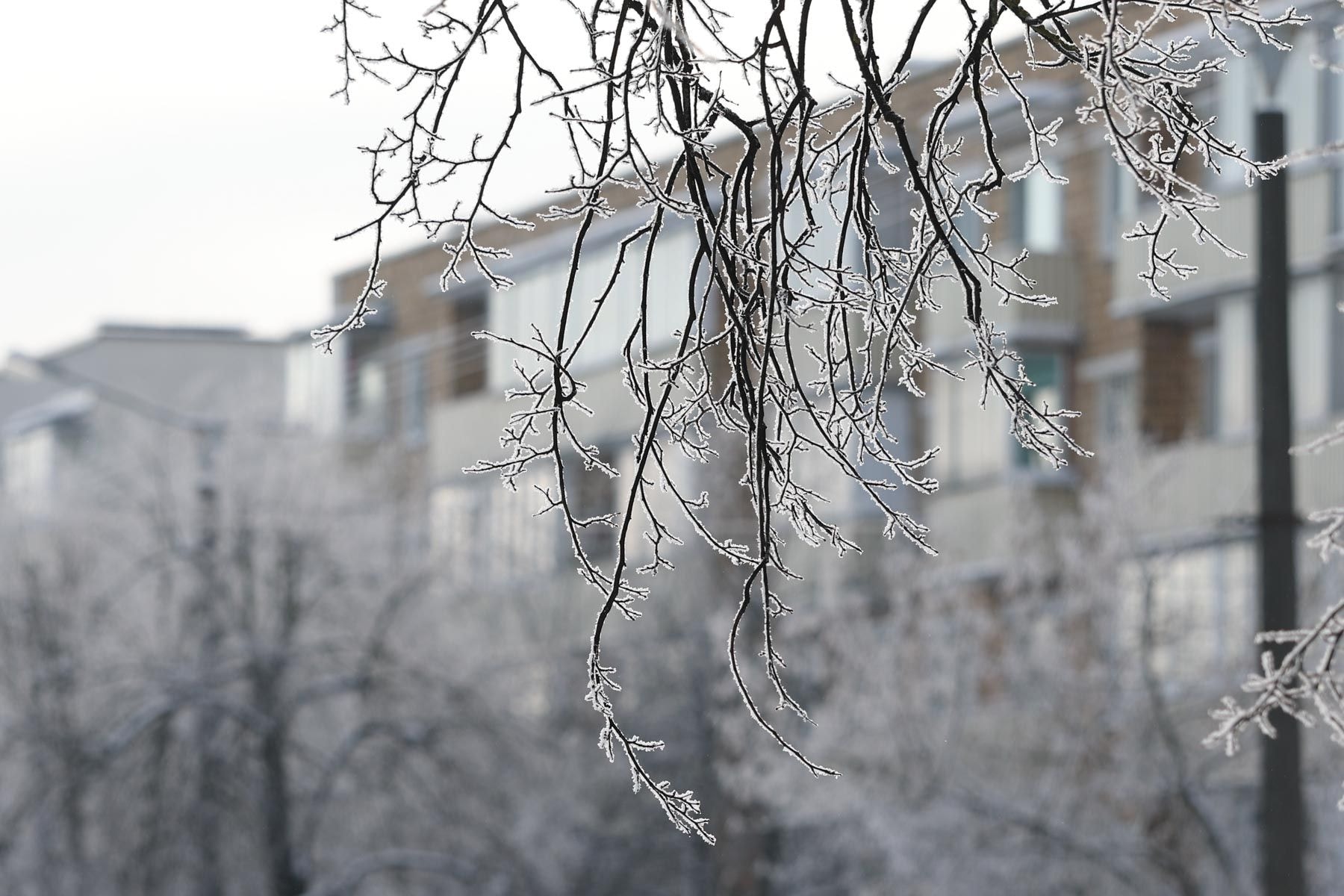 © Павел Орловский, Times.by