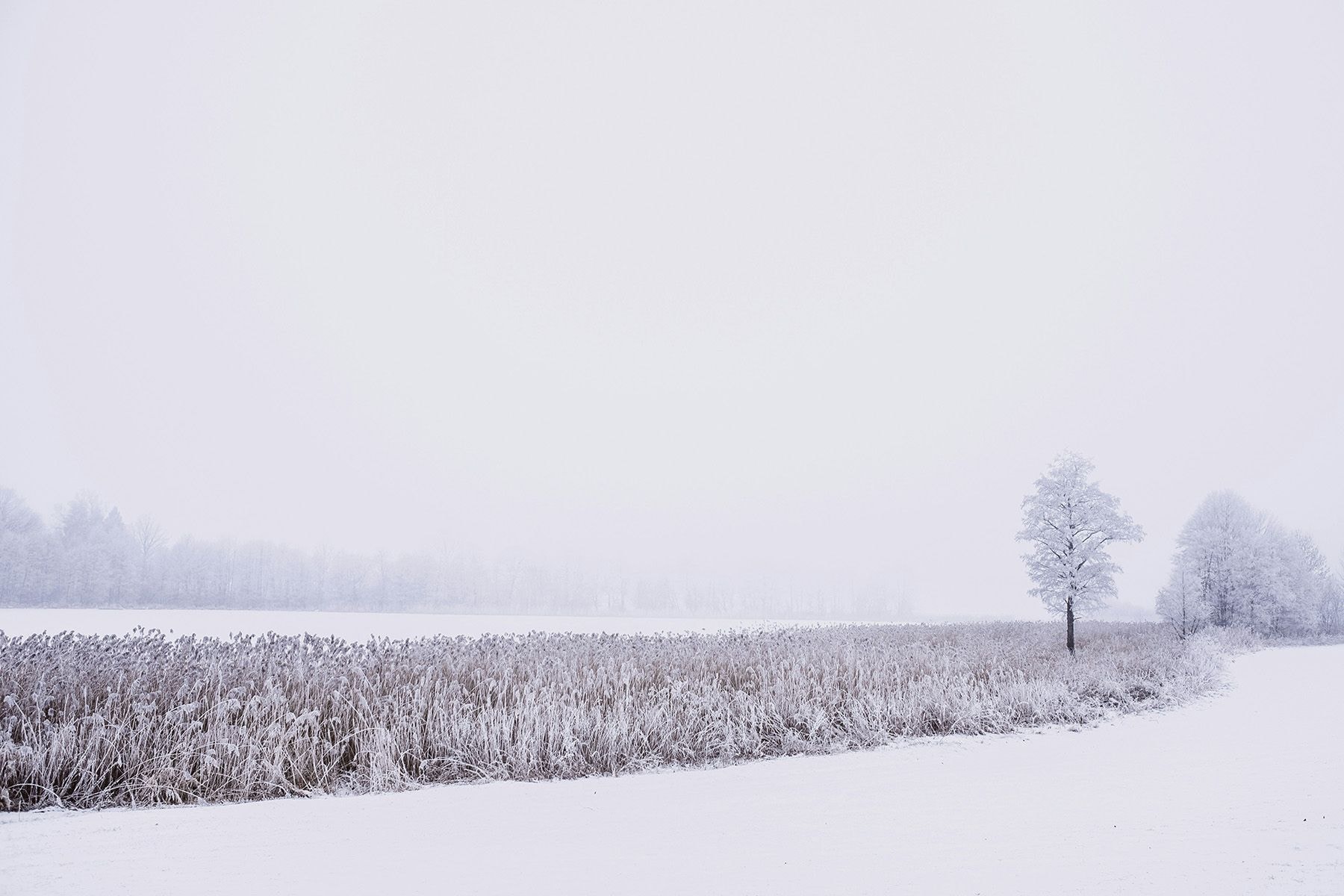 © freestocks, Unsplash.com