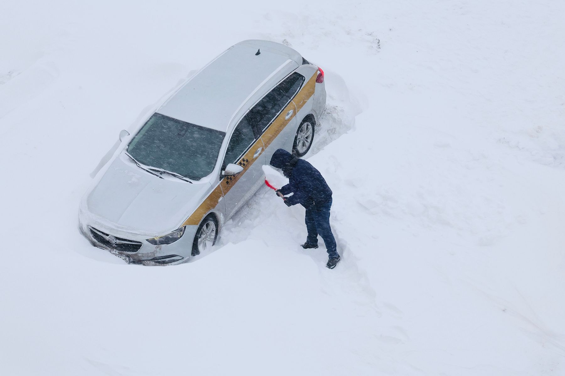 © Мария Амелина, Times.by