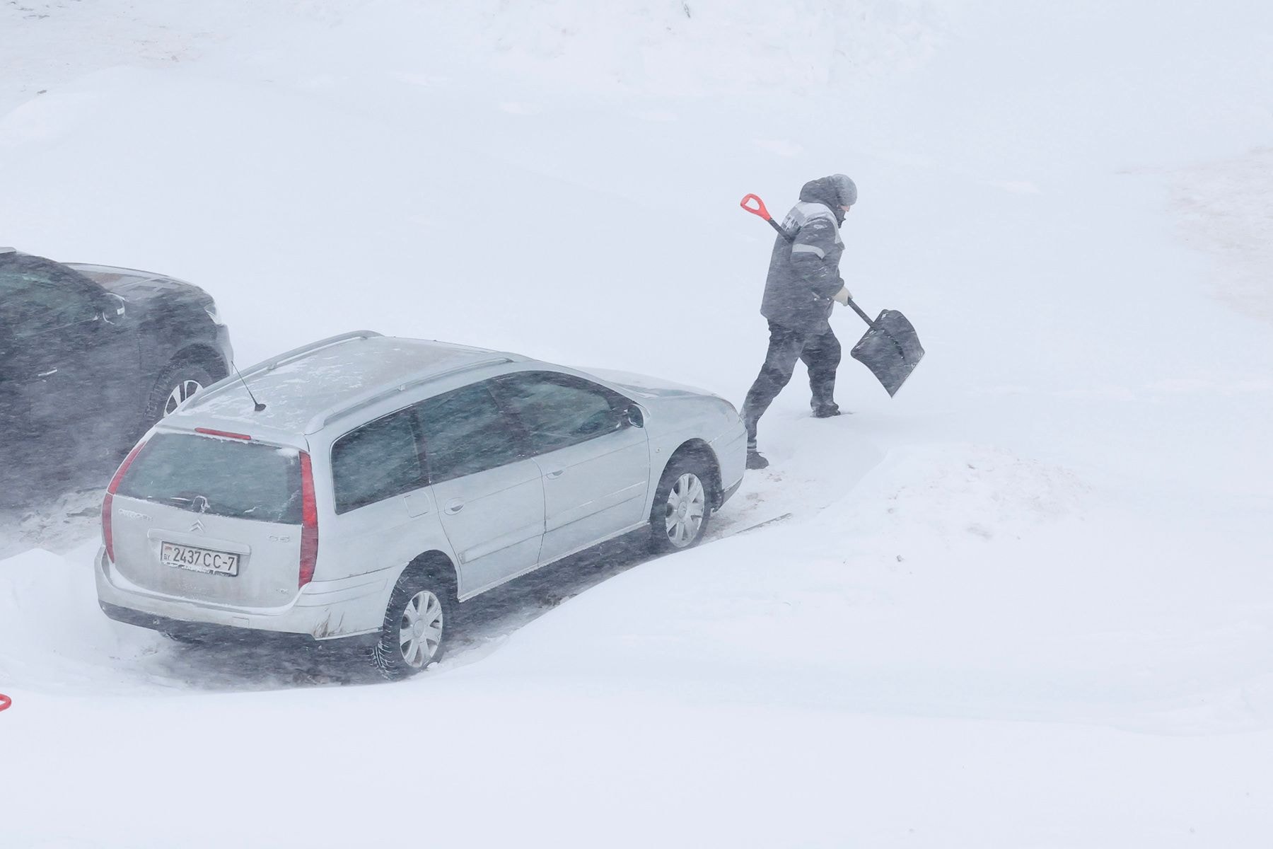 © Мария Амелина, Times.by