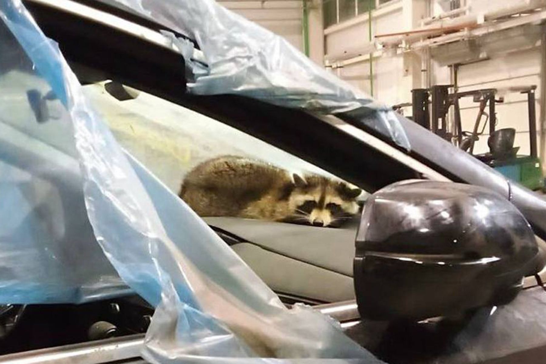 © ГТК Беларуси