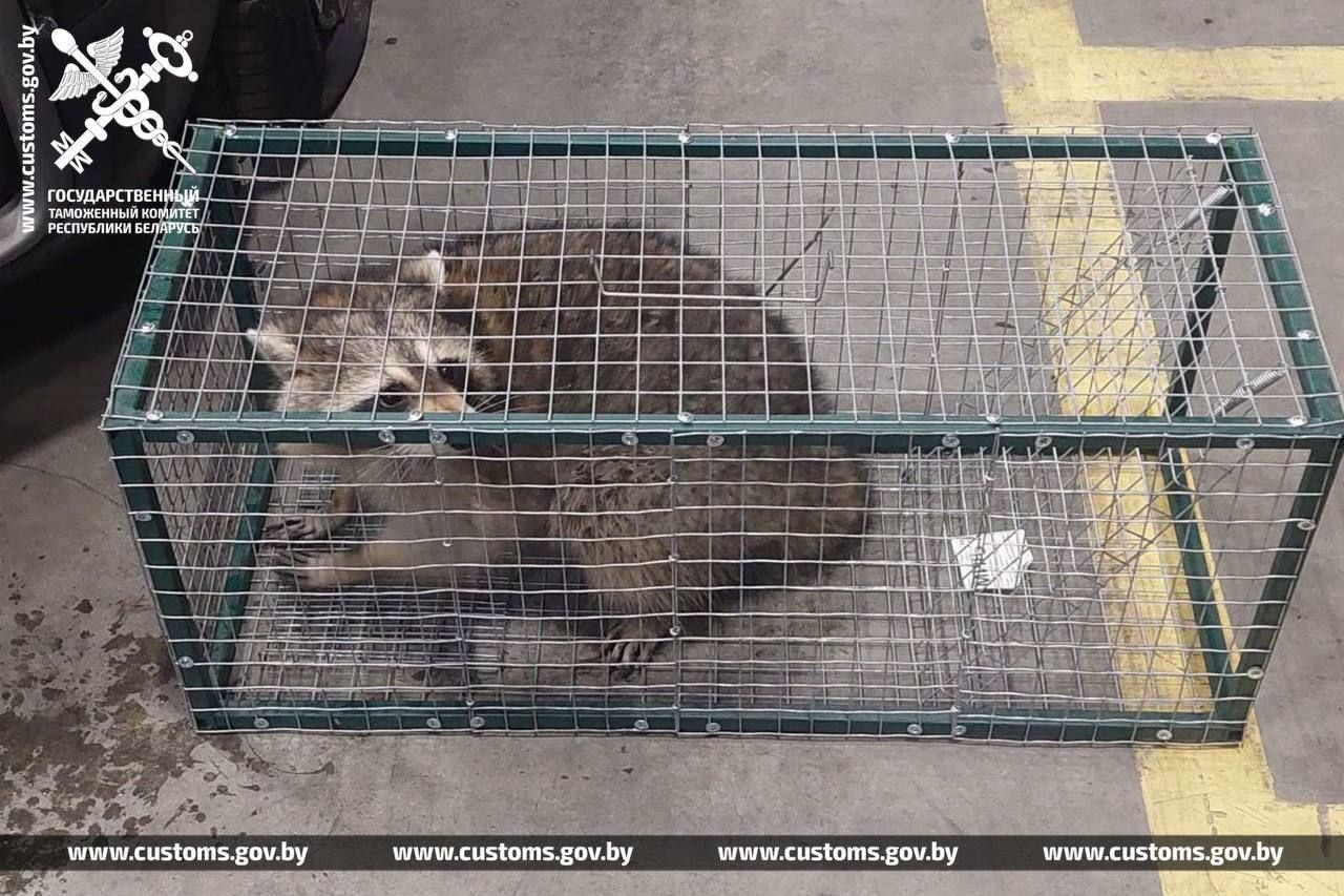 © ГТК Беларуси