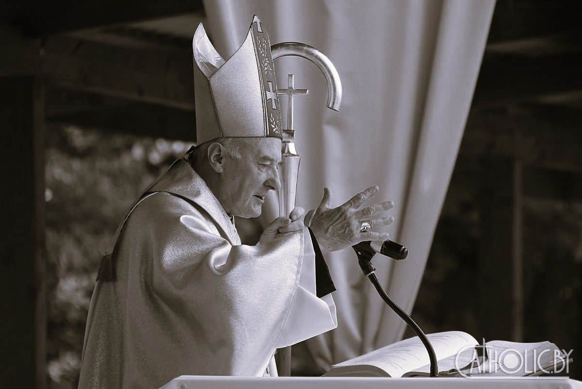 Казимир Великоселец