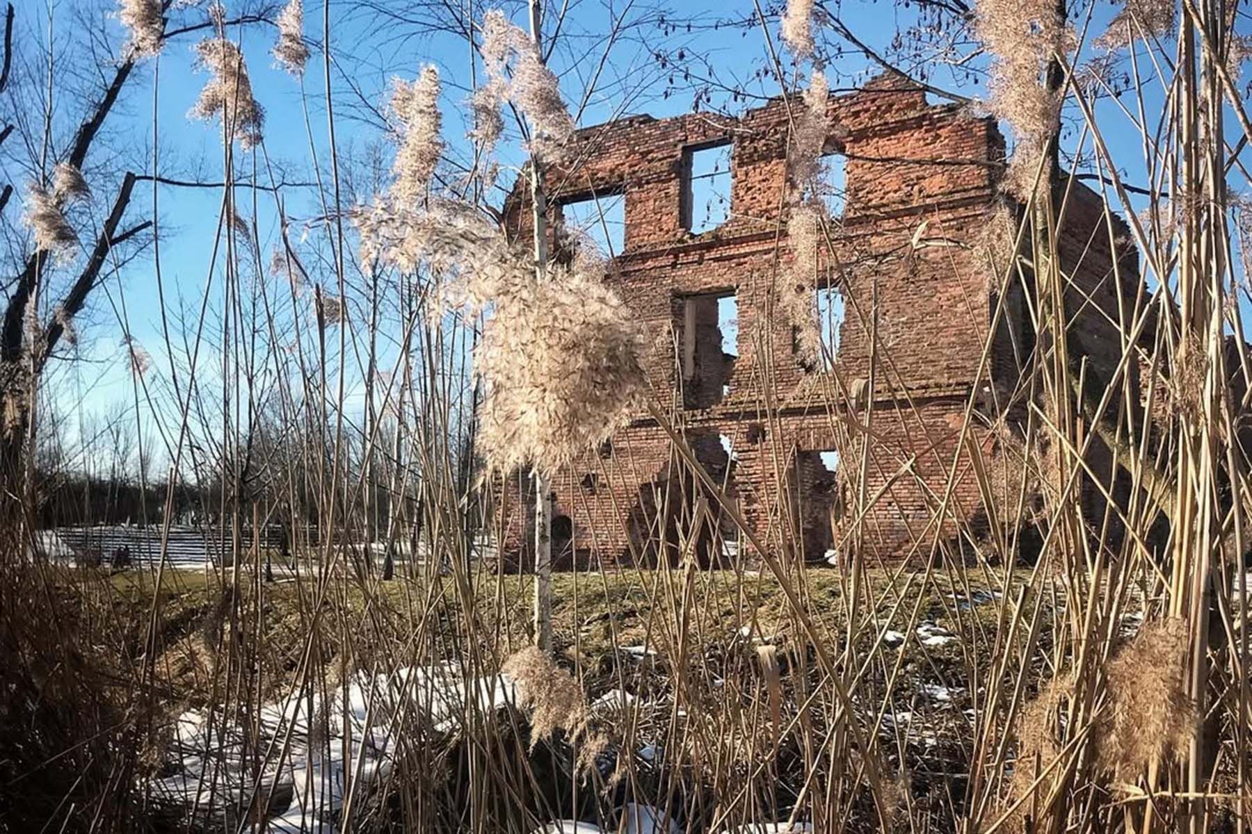 Старинная мельница в Лошицком парке