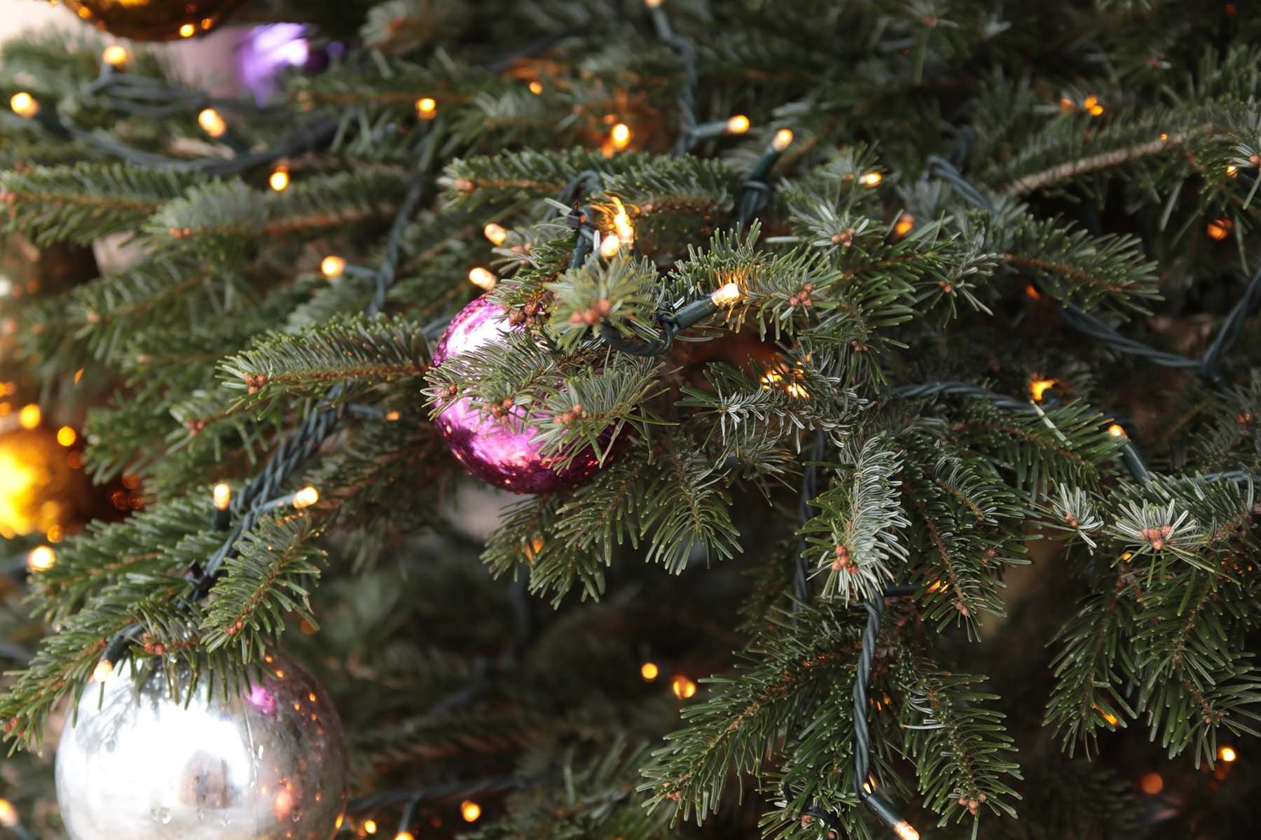 Фото: wirestock, Freepik.com