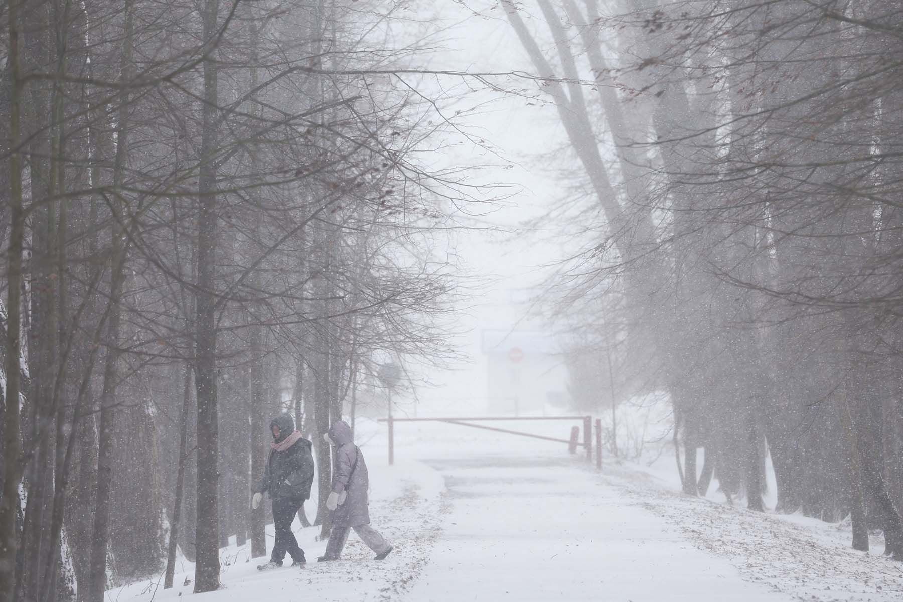 © Павел Орловский, Times.by