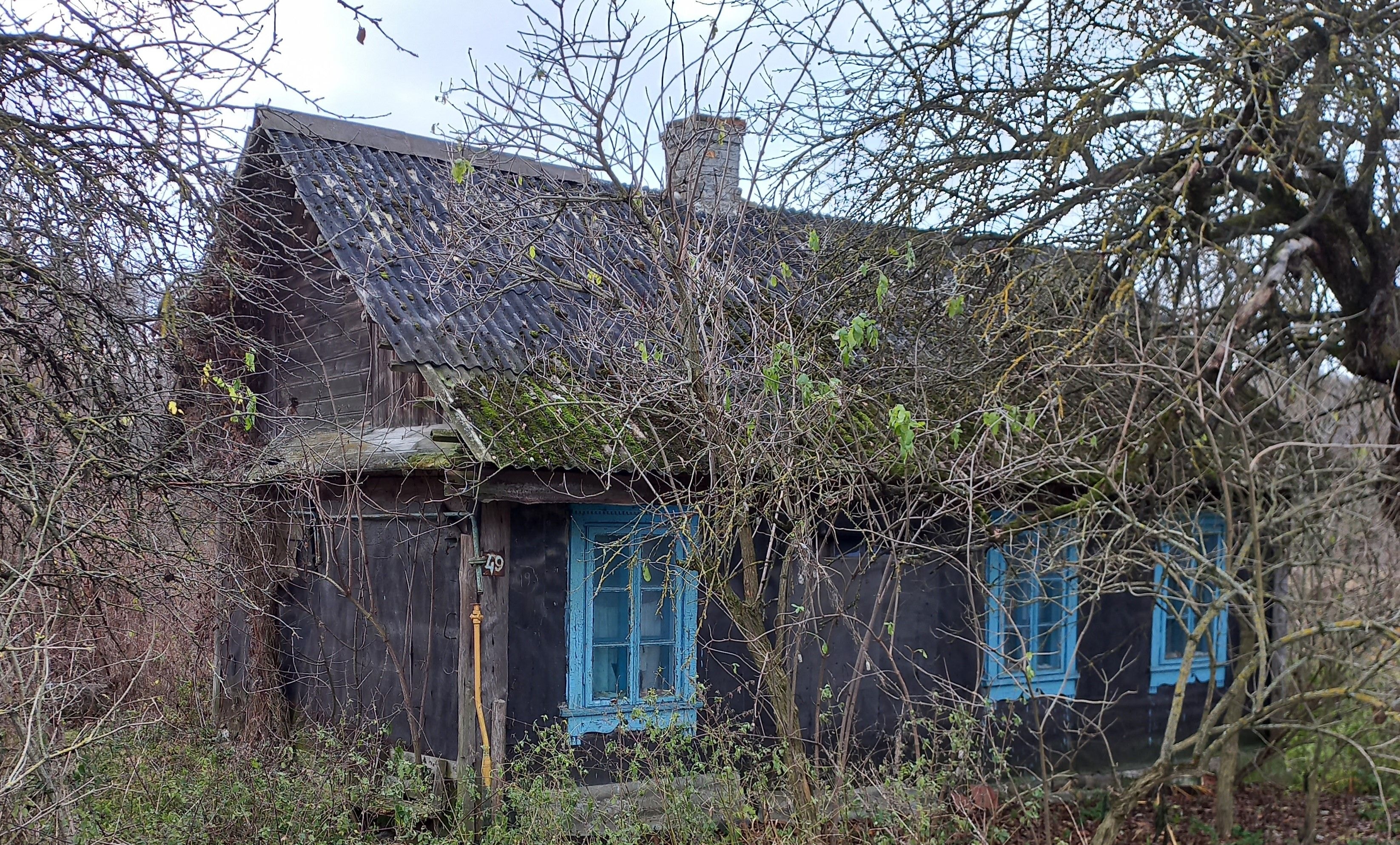 Вехотница. © Госкомитет по имуществу