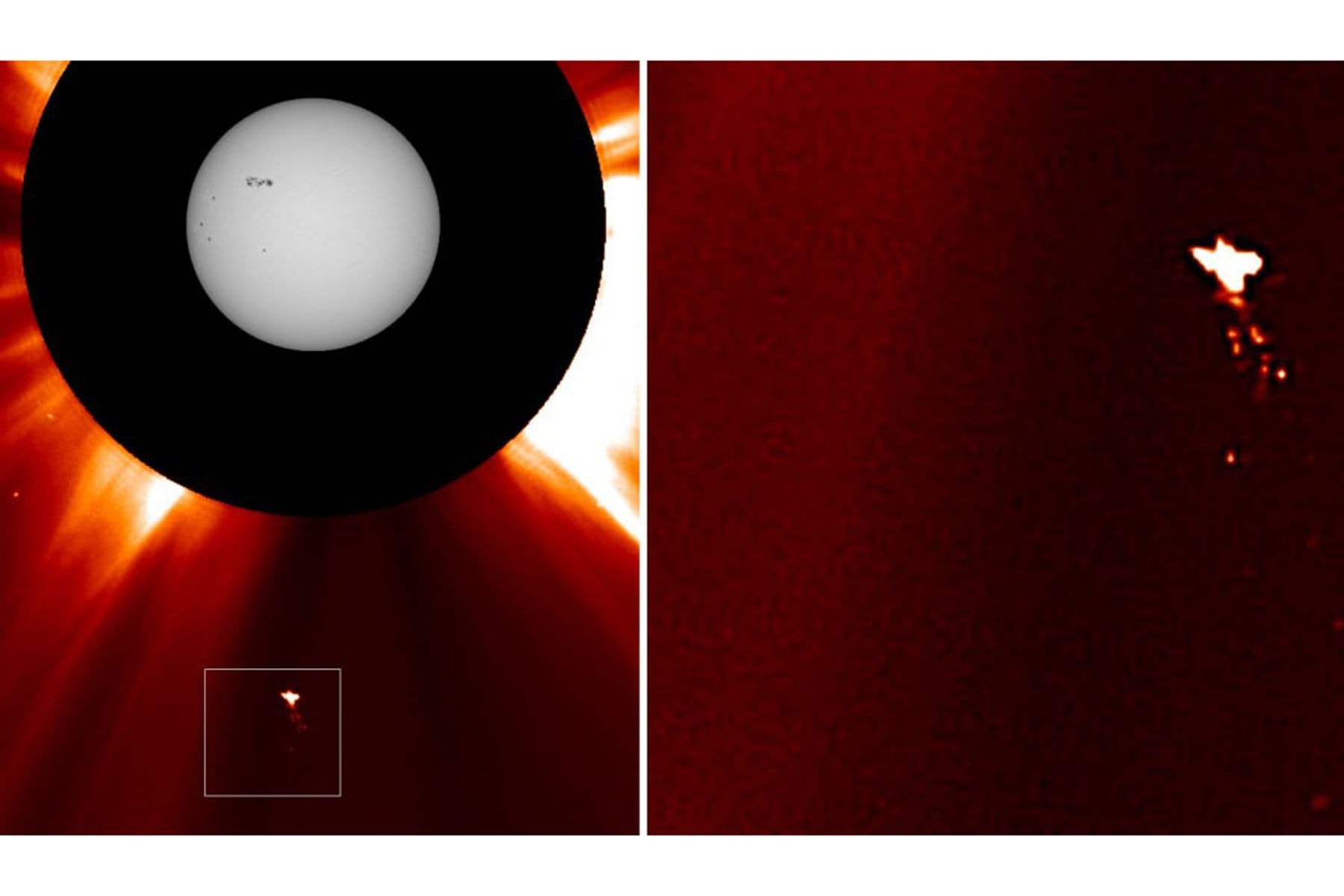 Объект, похожий на птицу, обнаруженный на снимке Солнца 02.02.2026. © Лаборатория солнечной астрономии ИКИ РАН, Telegram