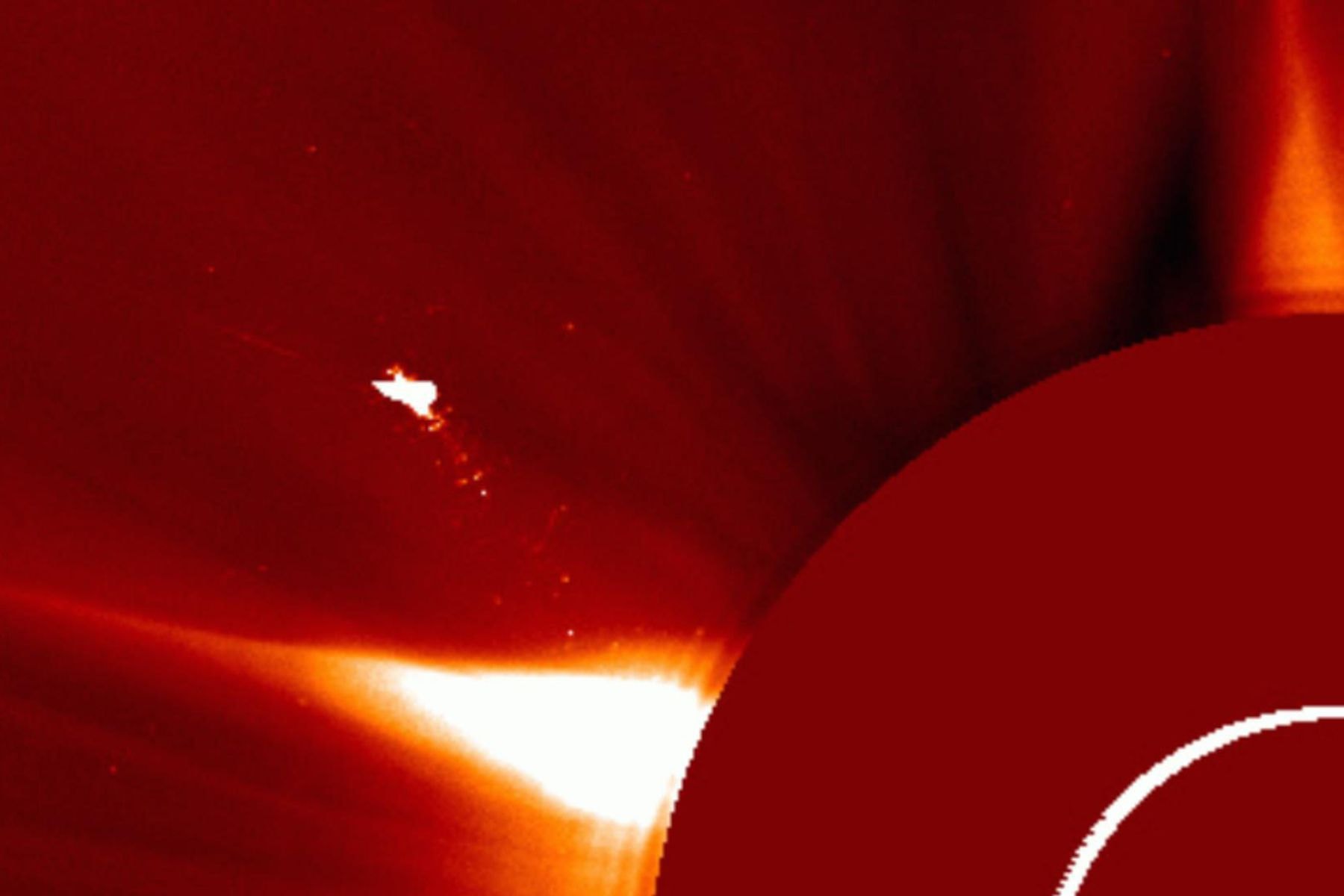 Объект, похожий на птицу, обнаруженный на снимке Солнца 25.05.2025. © Лаборатория солнечной астрономии ИКИ РАН, Telegram