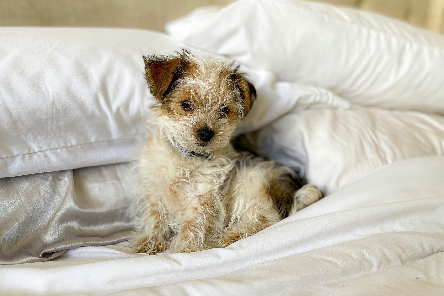 © Joseph Mutalwa, Unsplash.com